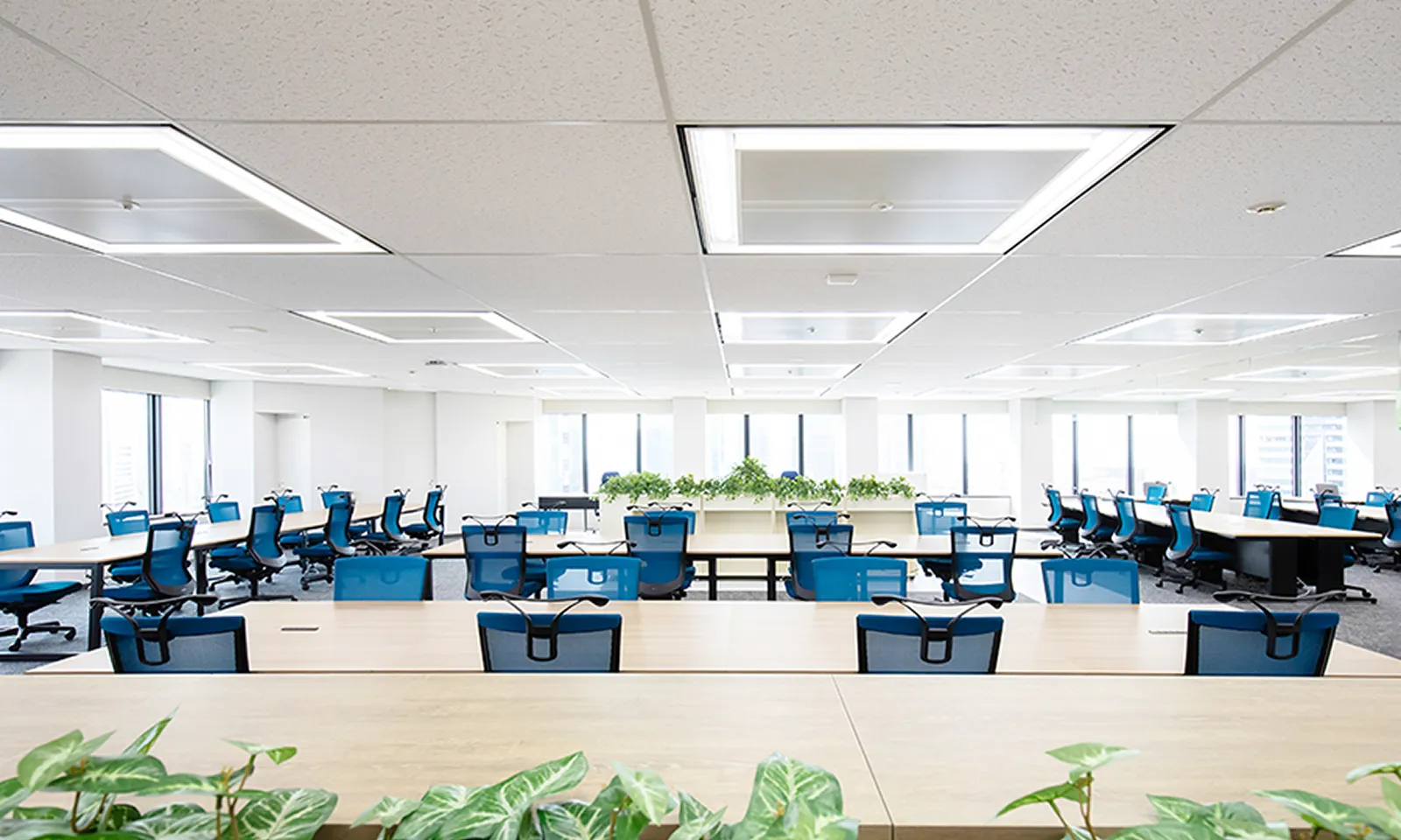 ヤマエ久野株式会社 写真02